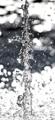 The water