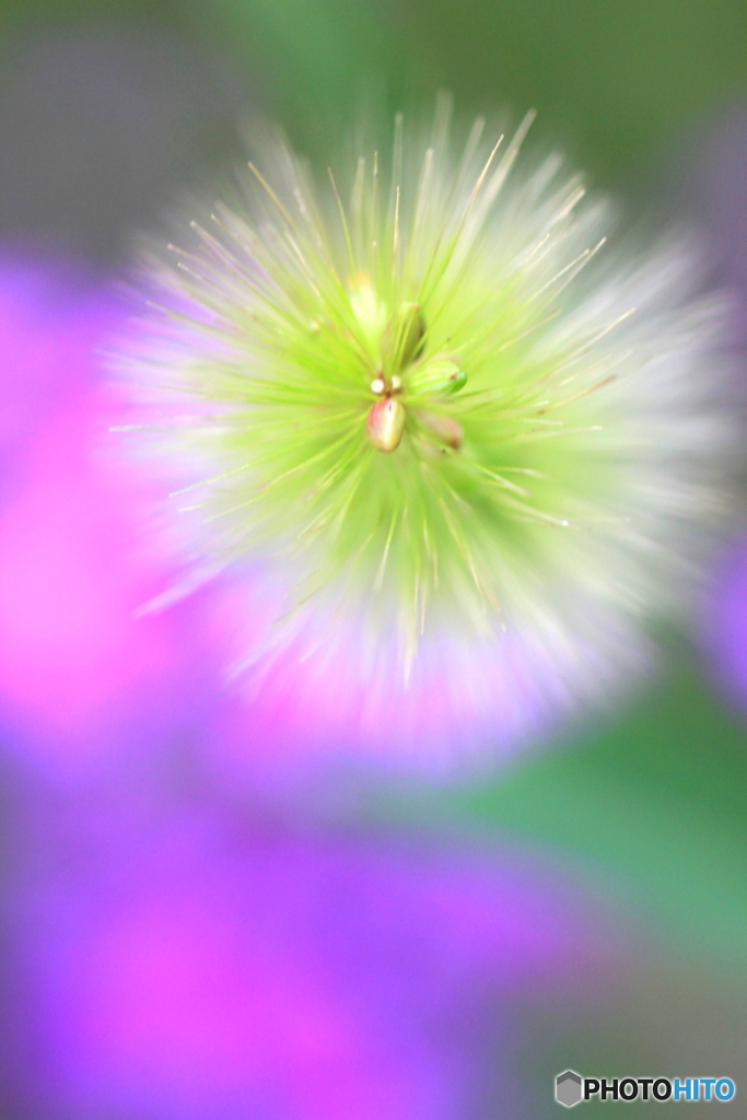 地上の花火