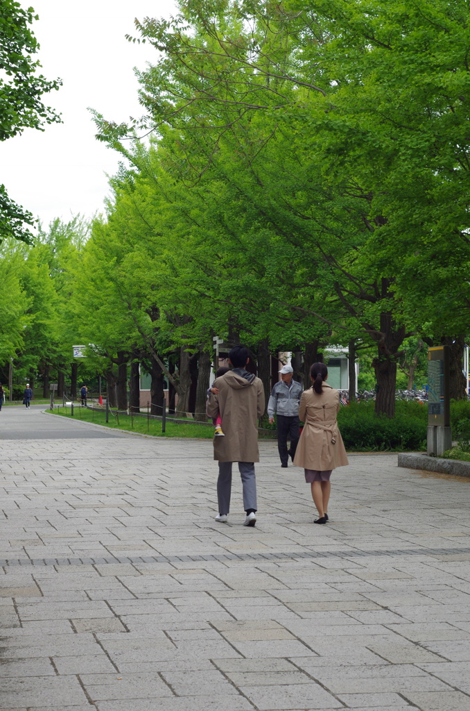 さわやかな土曜の朝