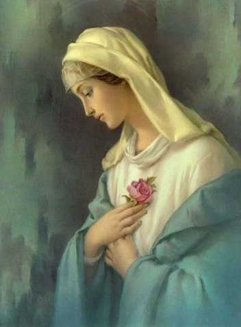 MaryRose