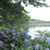 池のほとり