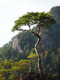 存在感