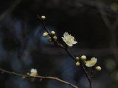 粛々と