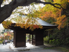山門