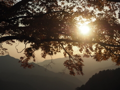 夕暮れ紅葉