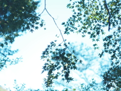青空に