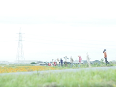 かかし