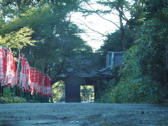 静かなひと時