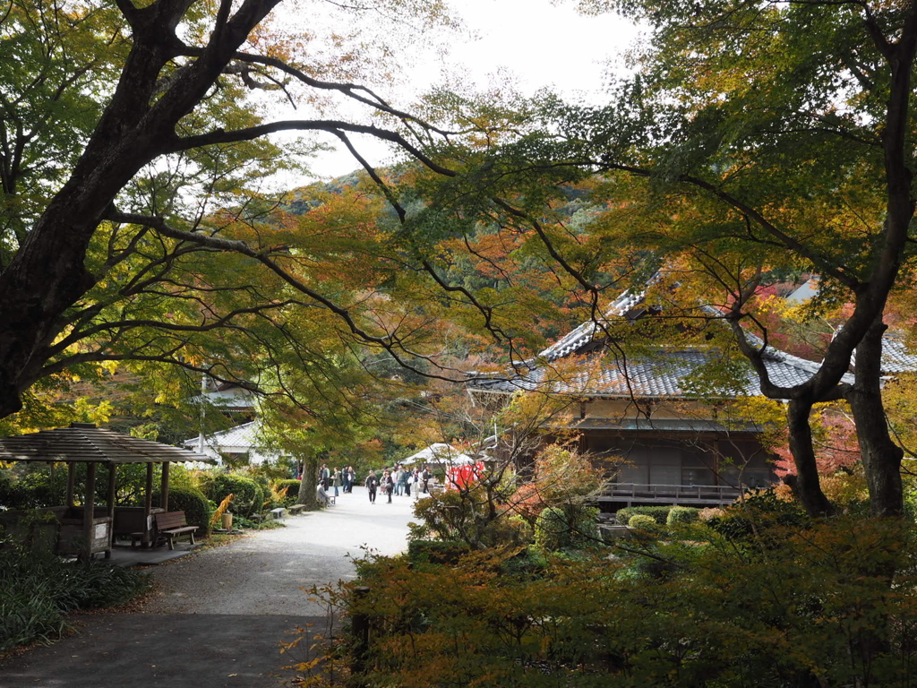 お寺の秋