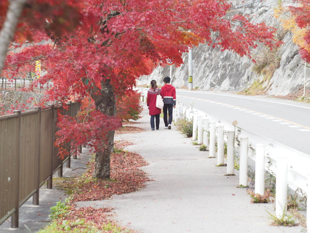紅葉デート