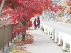 紅葉デート