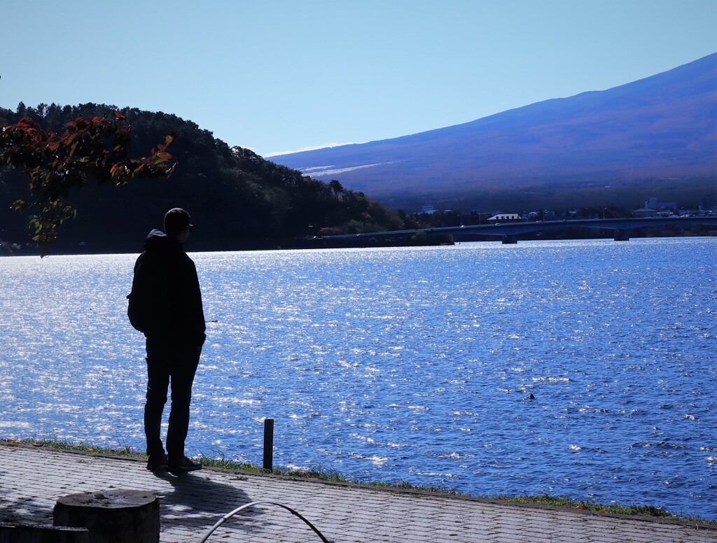 ただ見つめて居るだけで。。。