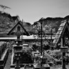 禁じられた遊び　♪