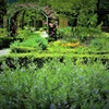 Goodbye！！！the season of fresh green
