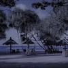 お疲れの貴方に(*^^*)