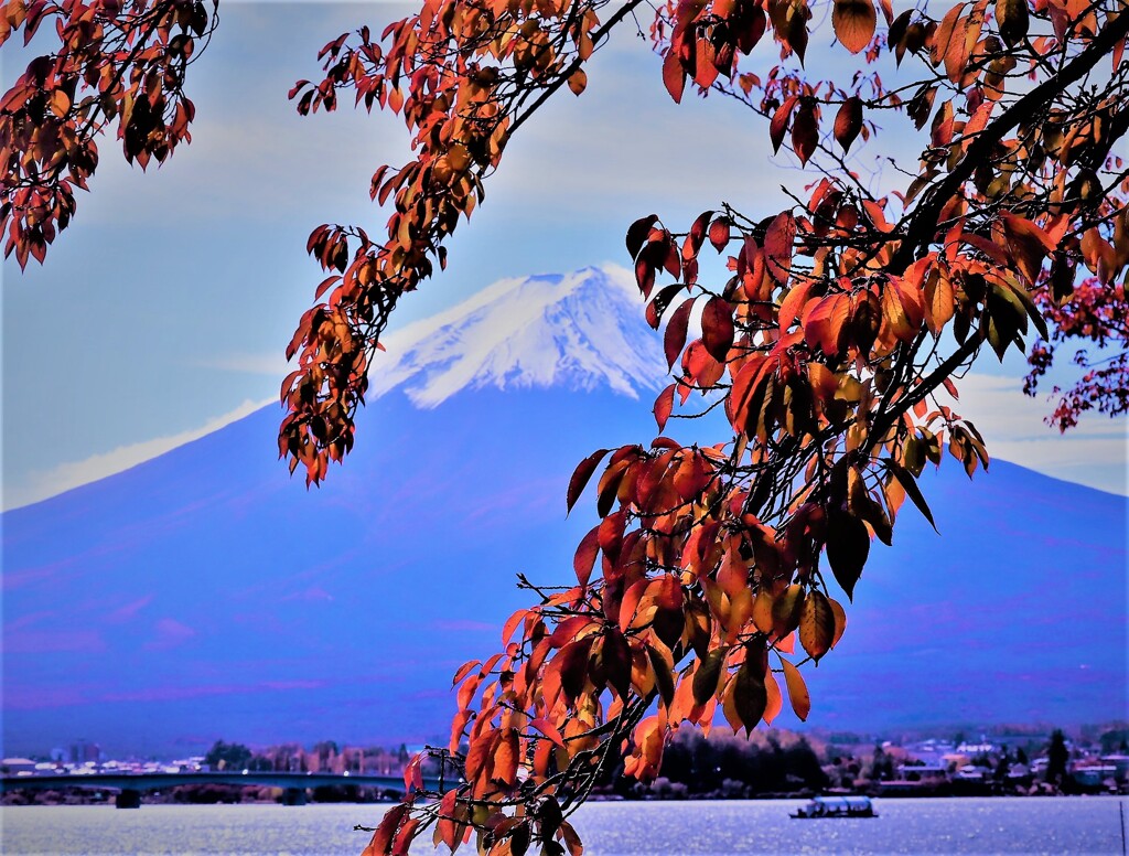 中秋の富士山