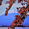 中秋の富士山