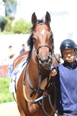 2017.9.18中山競馬場