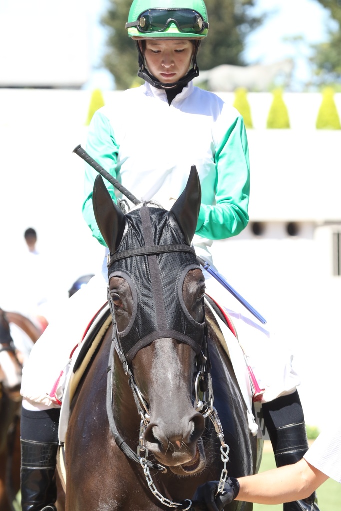 2017.9.18中山競馬場