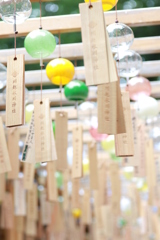 川越氷川神社