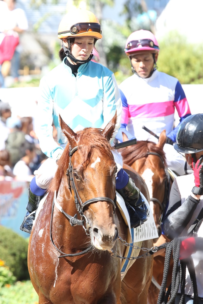 2017.9.18中山競馬場