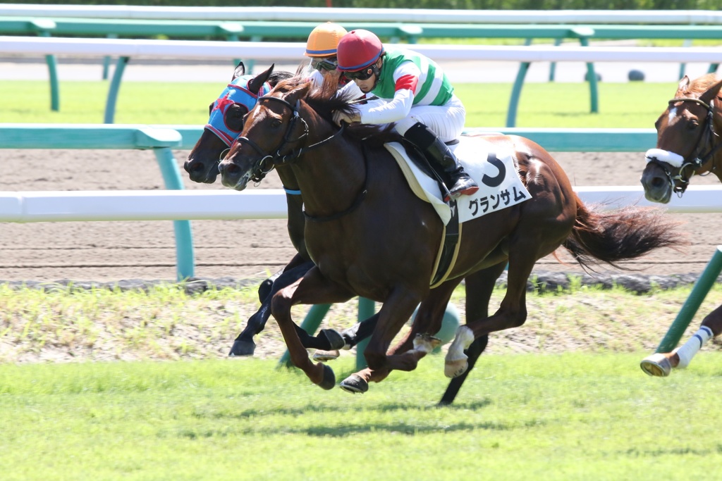 2017.9.18中山競馬場