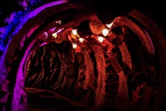 深海のその先。