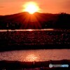 ブイ置き場の夕暮れ