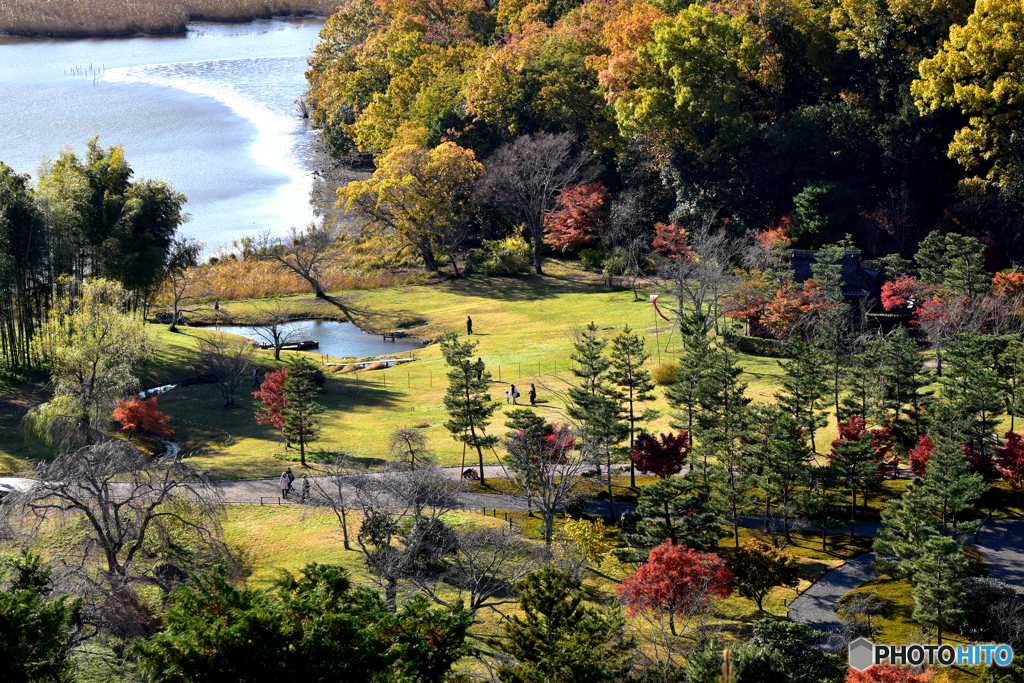 秋野