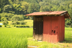 田んぼの中の納屋小屋