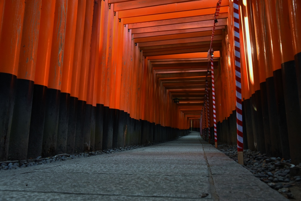 千本鳥居