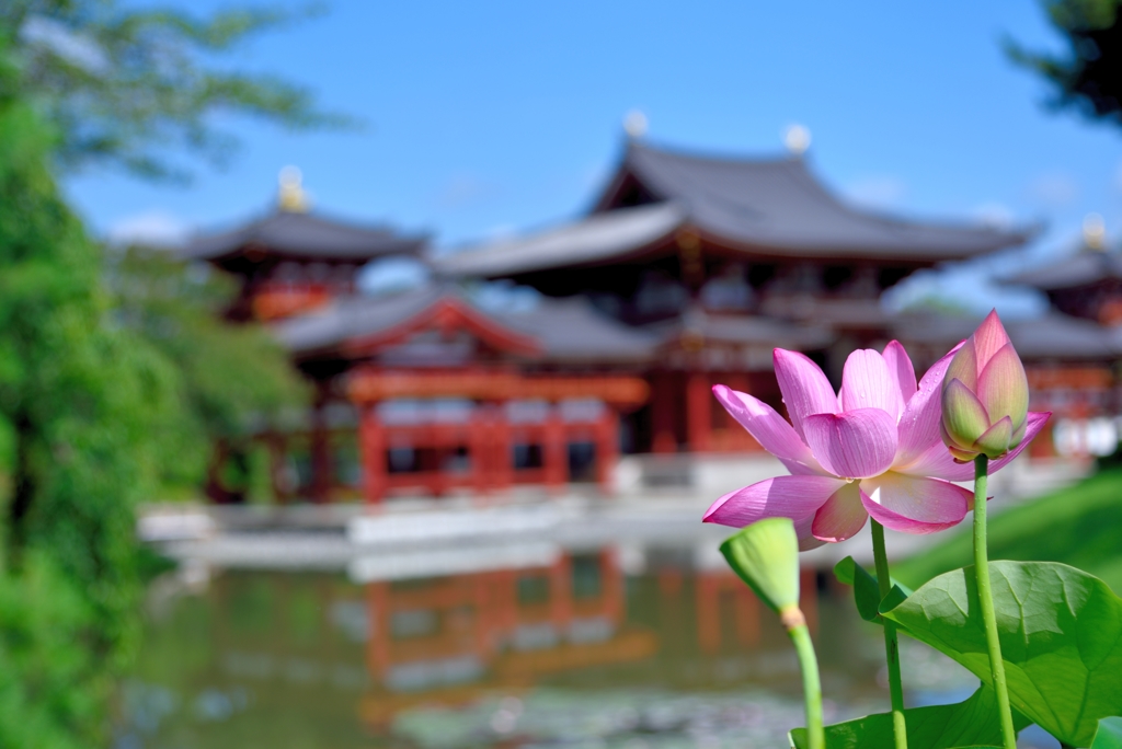 平等院鳳凰堂