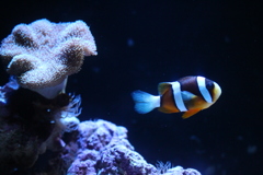 お父さんはどこ?