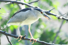 天王寺動物園3