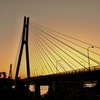 斜張橋