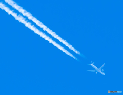 上空を見上げると...
