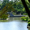 穏やかな時間