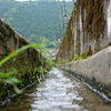 畑の横の用水路