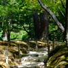庭園の中程で