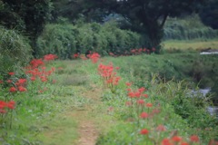 20170924064124_IMG_0370