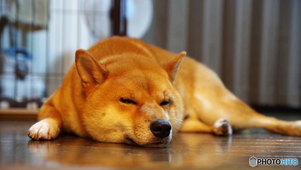 まぶたが・・・