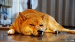 まぶたが・・・