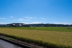 IMGP4774