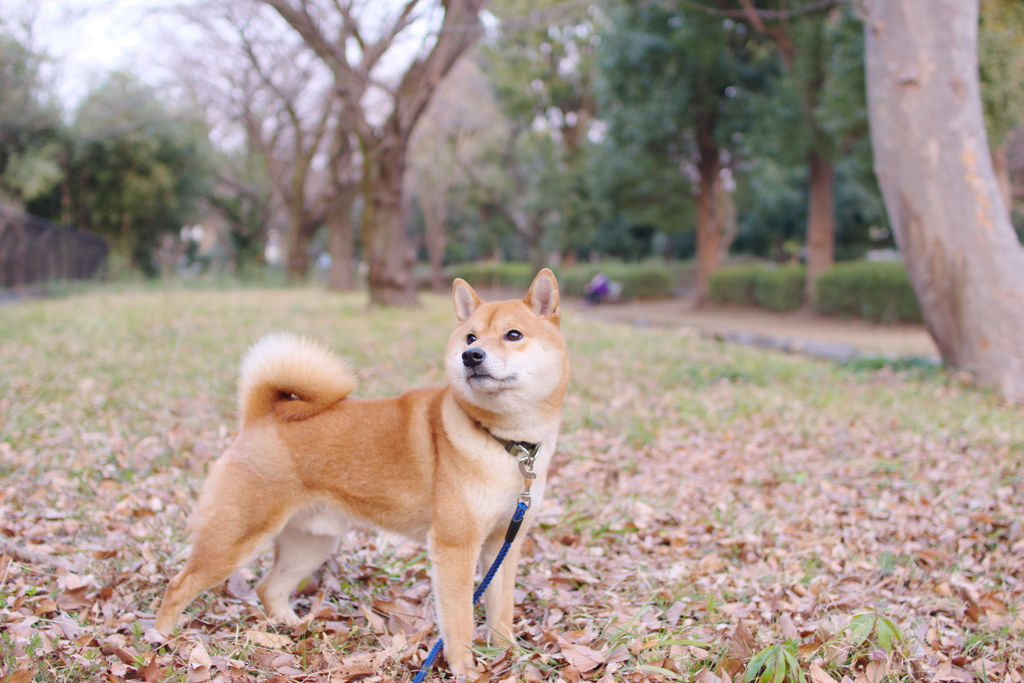 毎日の通り道