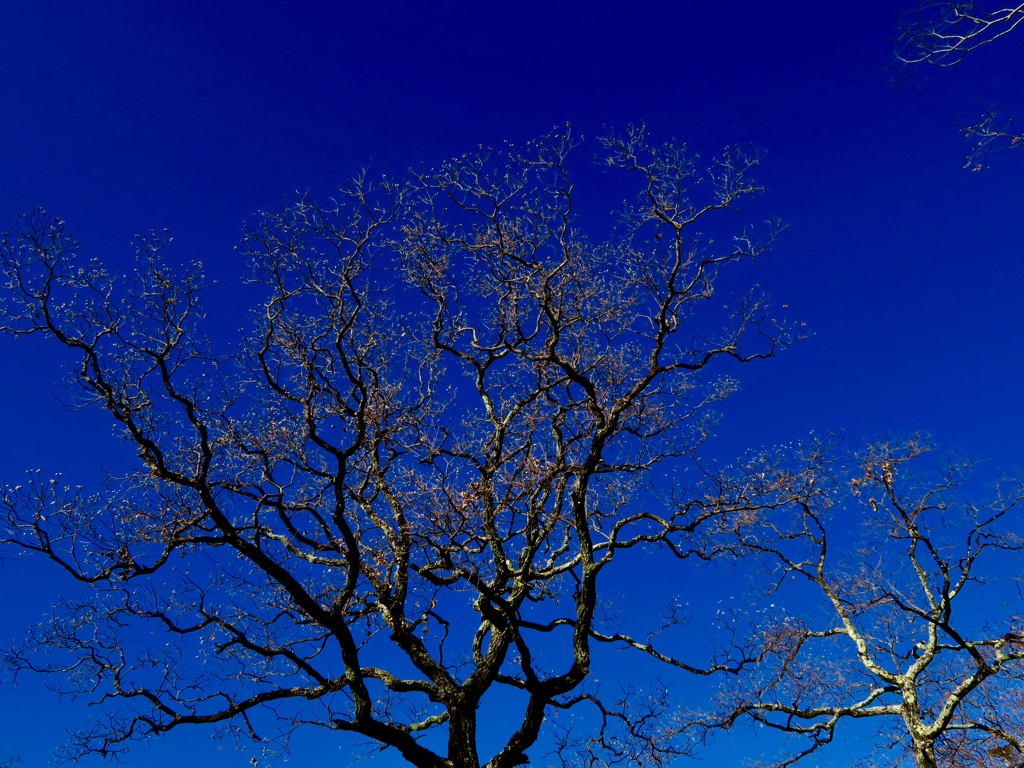 2A34549B-23E4-4226-825E-32B0E45D32EF