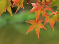 F4373CA3-C1BD-477A-9BC1-0C182888C154