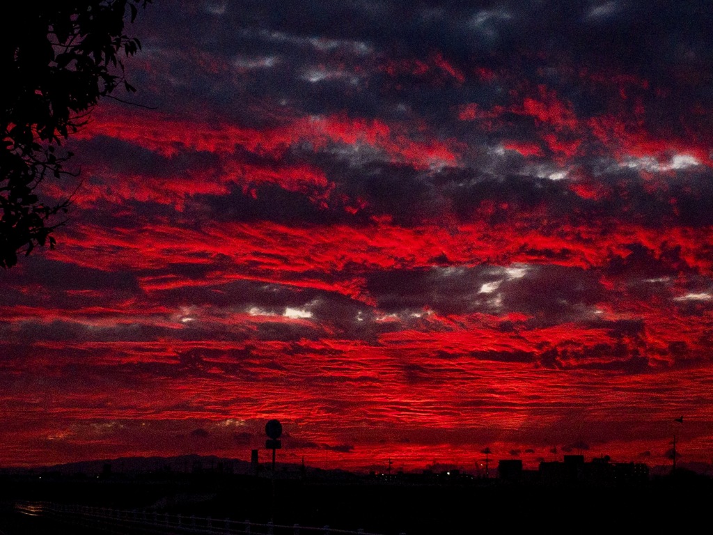 血に染まれる夕日