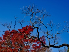 AE15F967-BEBA-4188-A755-7B980D44DC8A