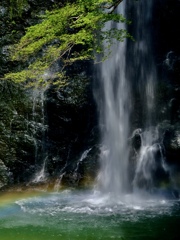 箕面の滝