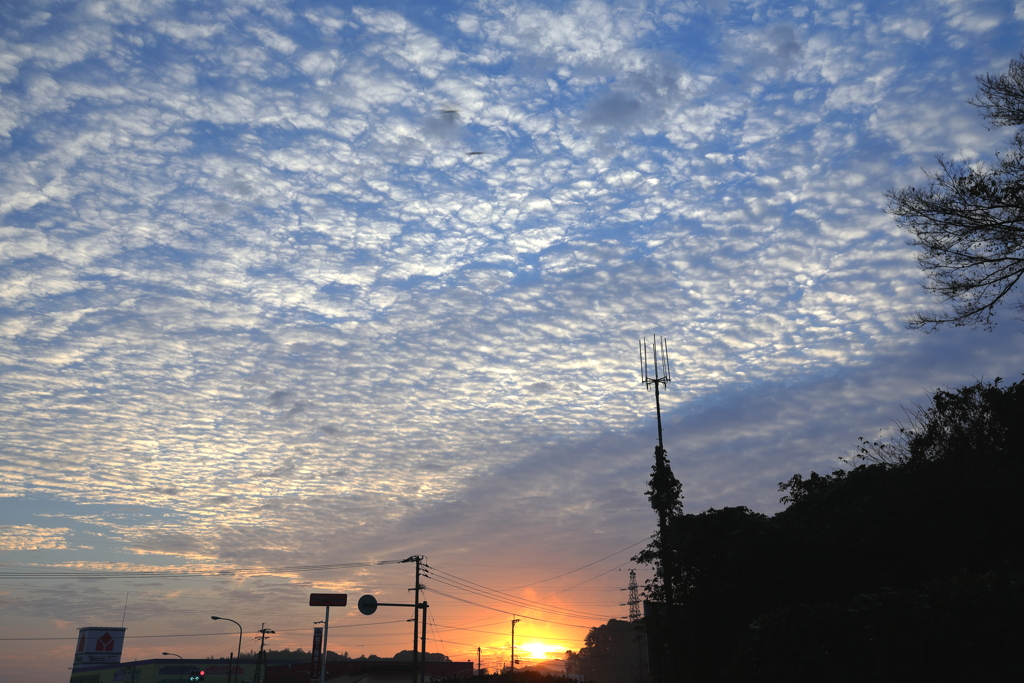 秋のうろこ雲